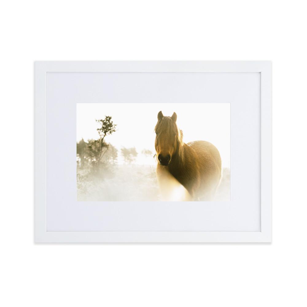 Pferd im Traum - Poster im Rahmen mit Passepartout Weiß / 30×40 cm artlia