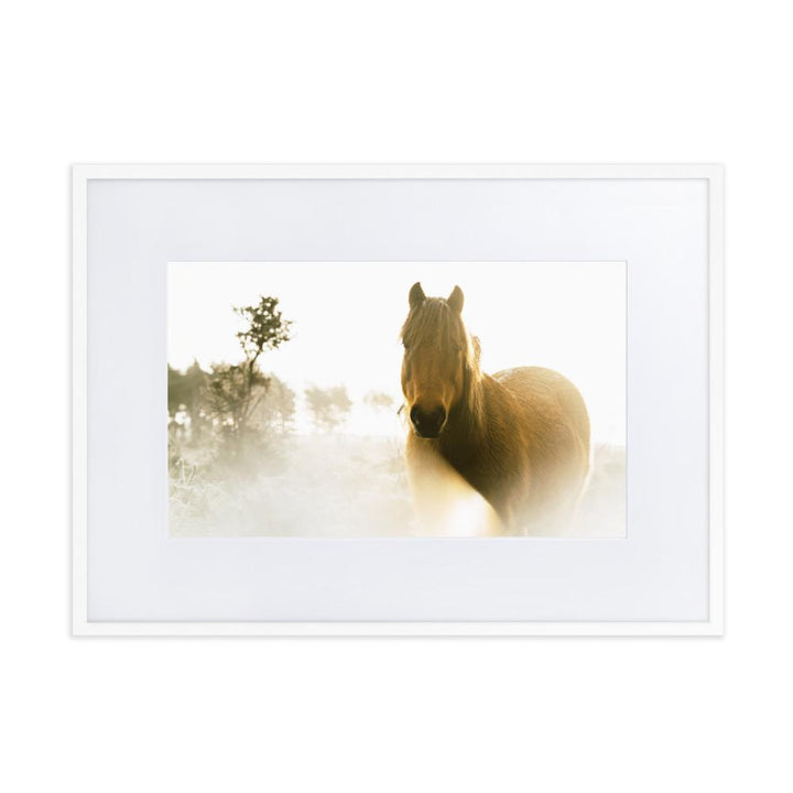 Pferd im Traum - Poster im Rahmen mit Passepartout Weiß / 50×70 cm artlia