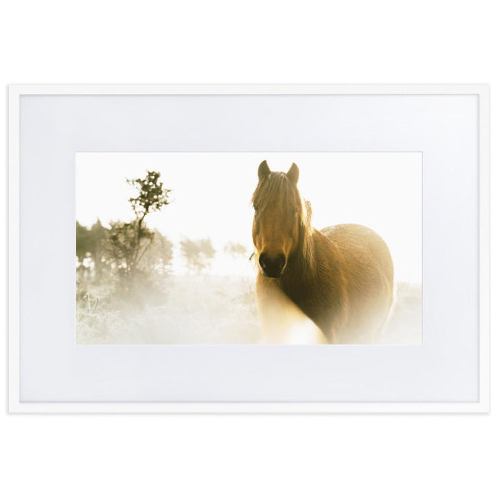 Pferd im Traum - Poster im Rahmen mit Passepartout Weiß / 61×91 cm artlia