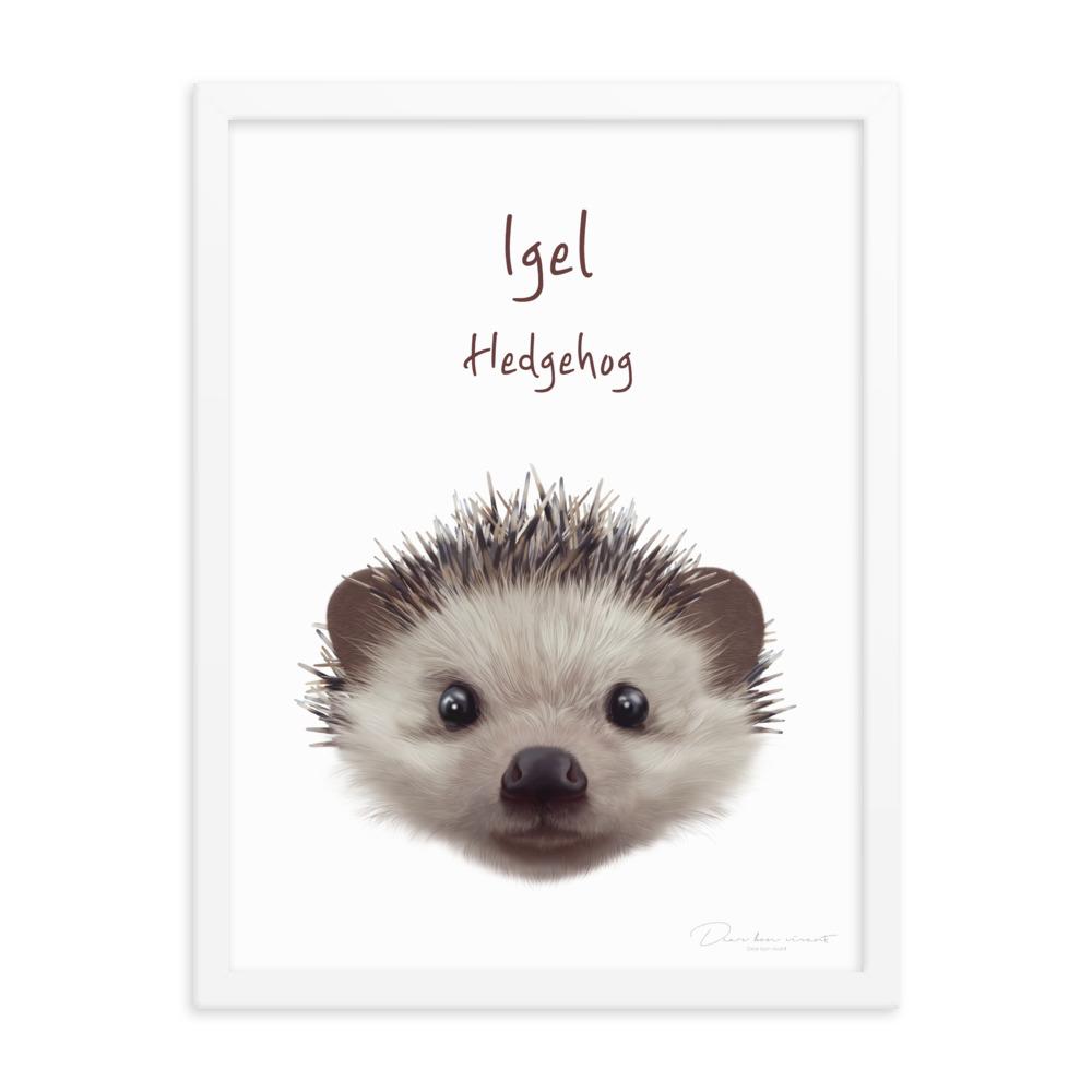 Igel - Poster im Rahmen für Kinder weiß / 30x41 cm artlia