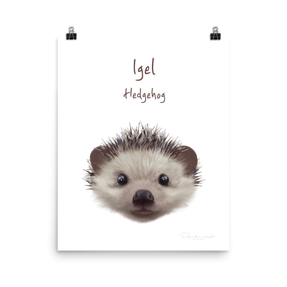 Igel - Tier Poster für Kinder 20x25 cm artlia