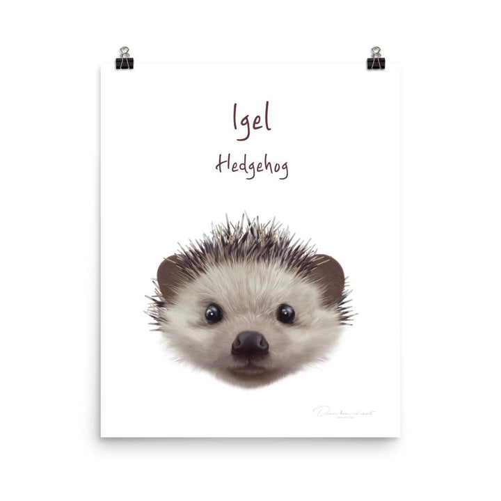 Igel - Tier Poster für Kinder 20x25 cm artlia