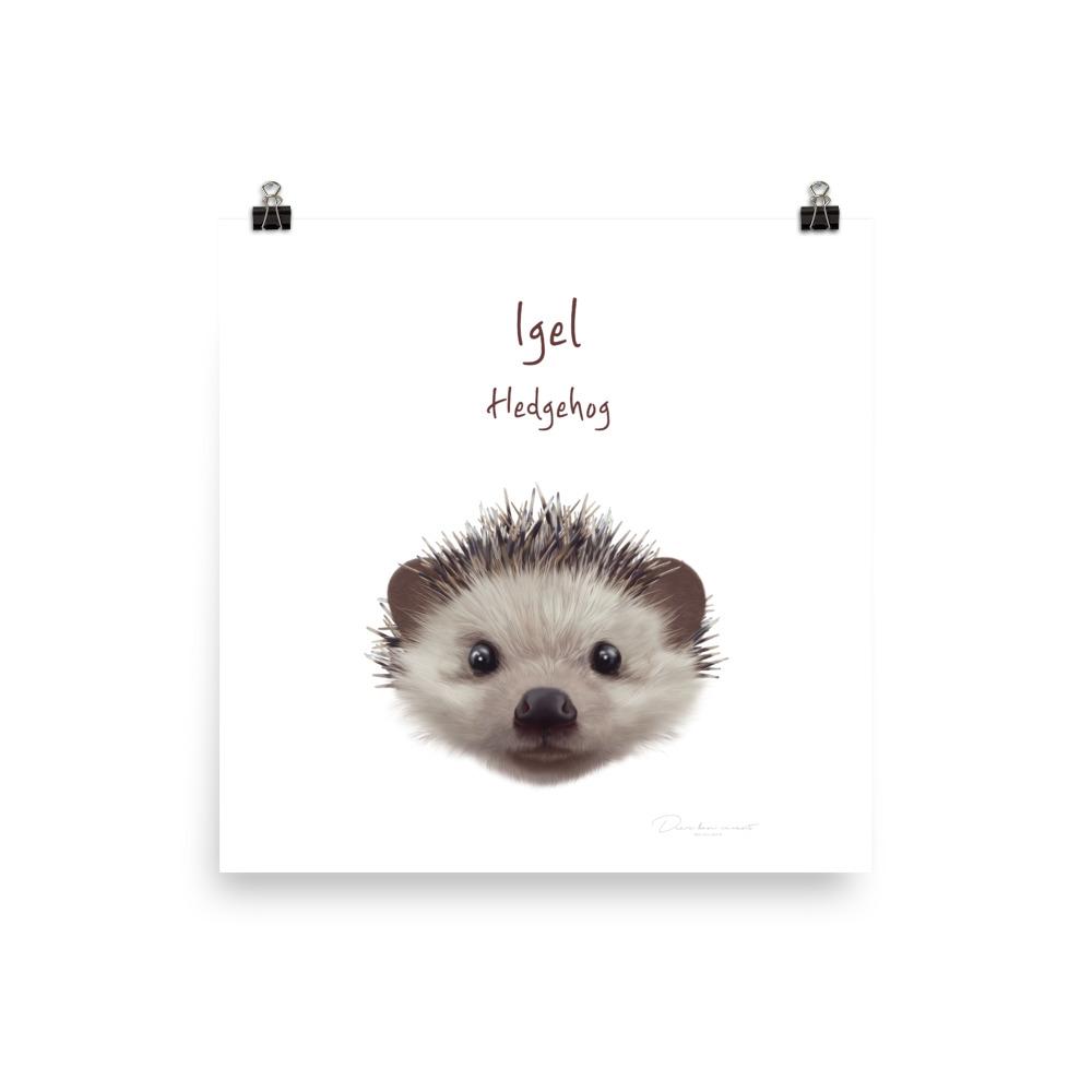 Igel - Tier Poster für Kinder 25x25 cm artlia