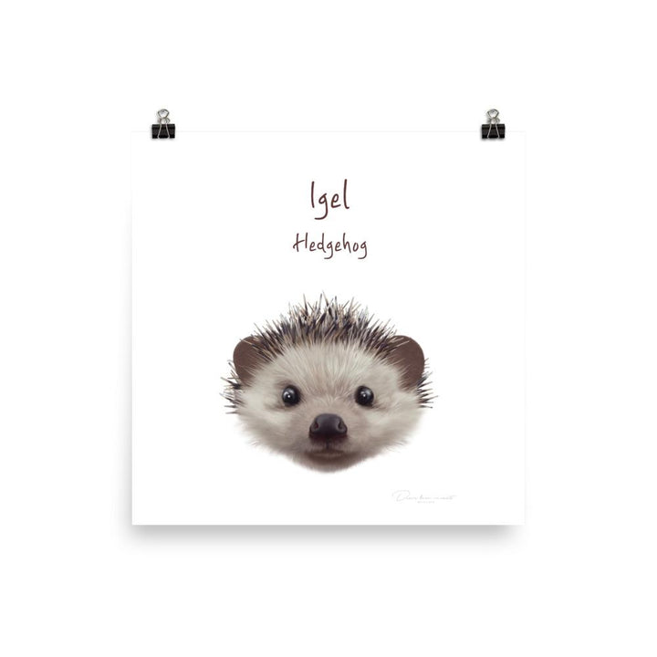 Igel - Tier Poster für Kinder 25x25 cm artlia