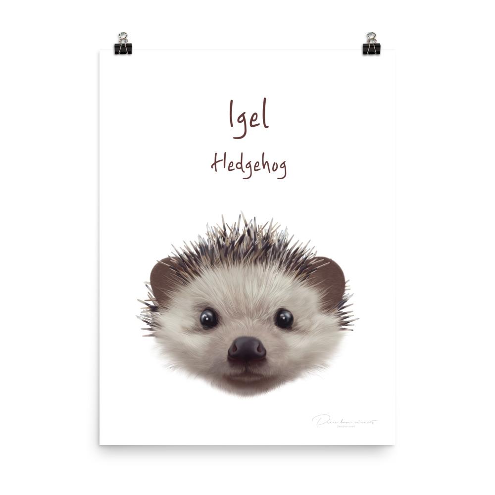 Igel - Tier Poster für Kinder 30x41 cm artlia
