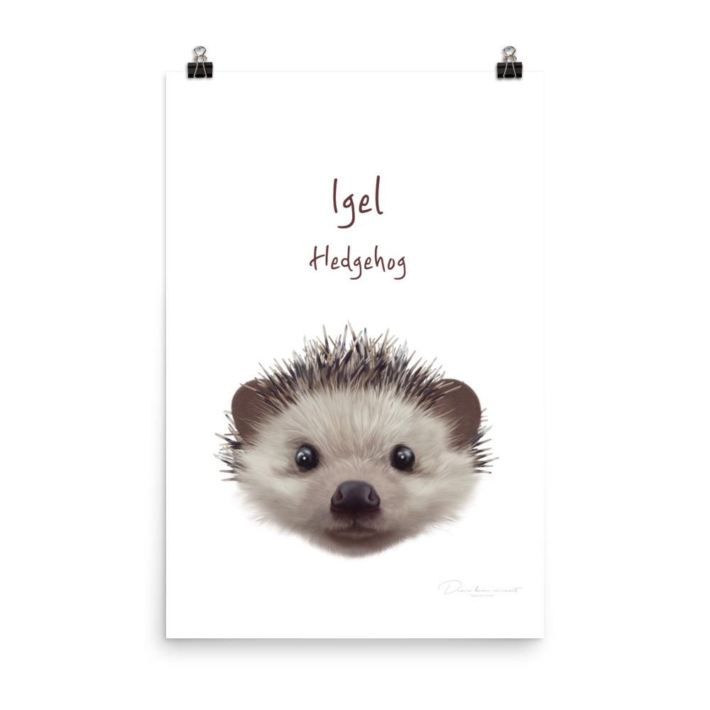Igel - Tier Poster für Kinder 30x45 cm artlia