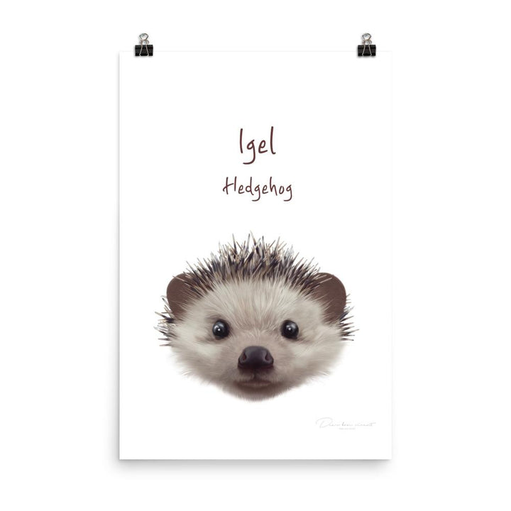 Igel - Tier Poster für Kinder 30x45 cm artlia