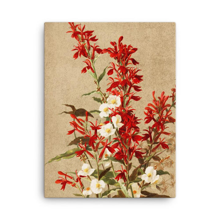 Kardinalsblumen - Leinwand 30x41 cm artlia