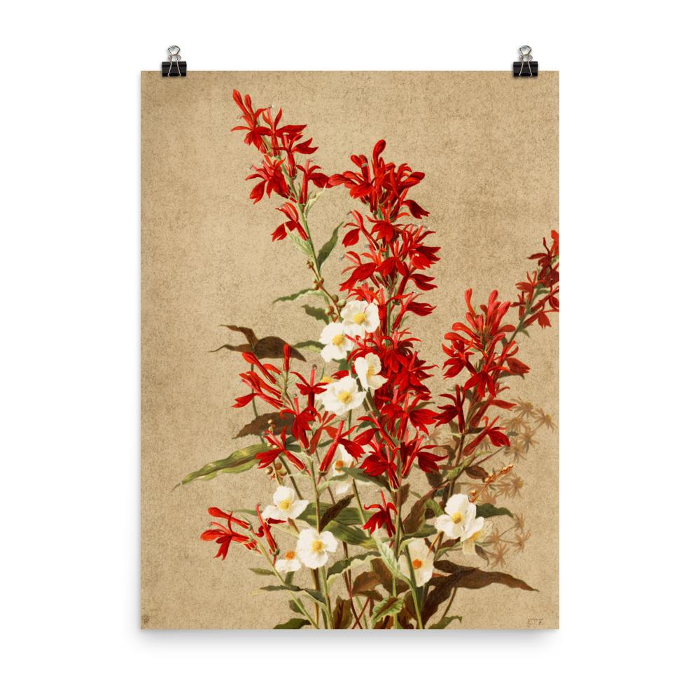 Kardinalsblumen - Poster 20x25 cm artlia