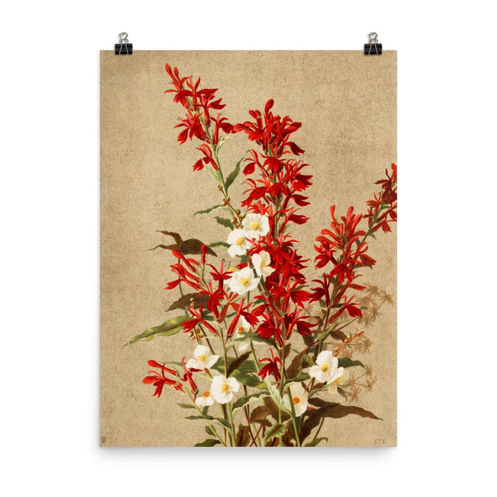 Kardinalsblumen - Poster 20x25 cm artlia