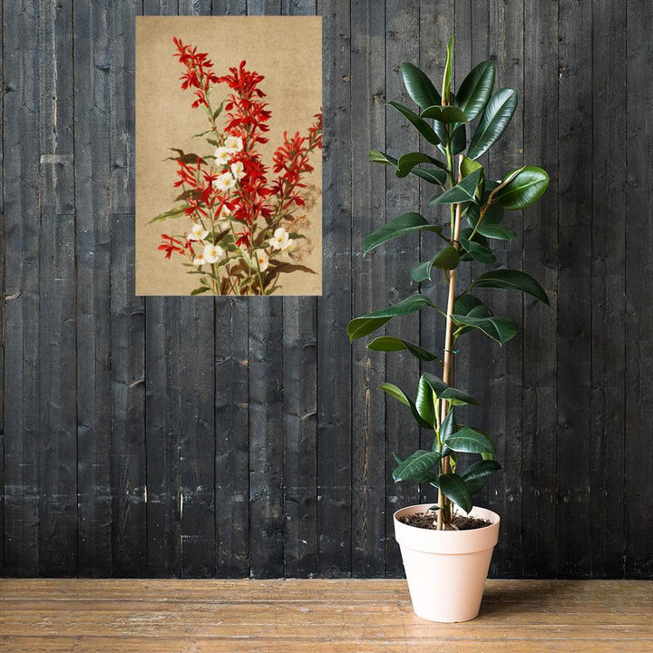 Kardinalsblumen - Poster artlia
