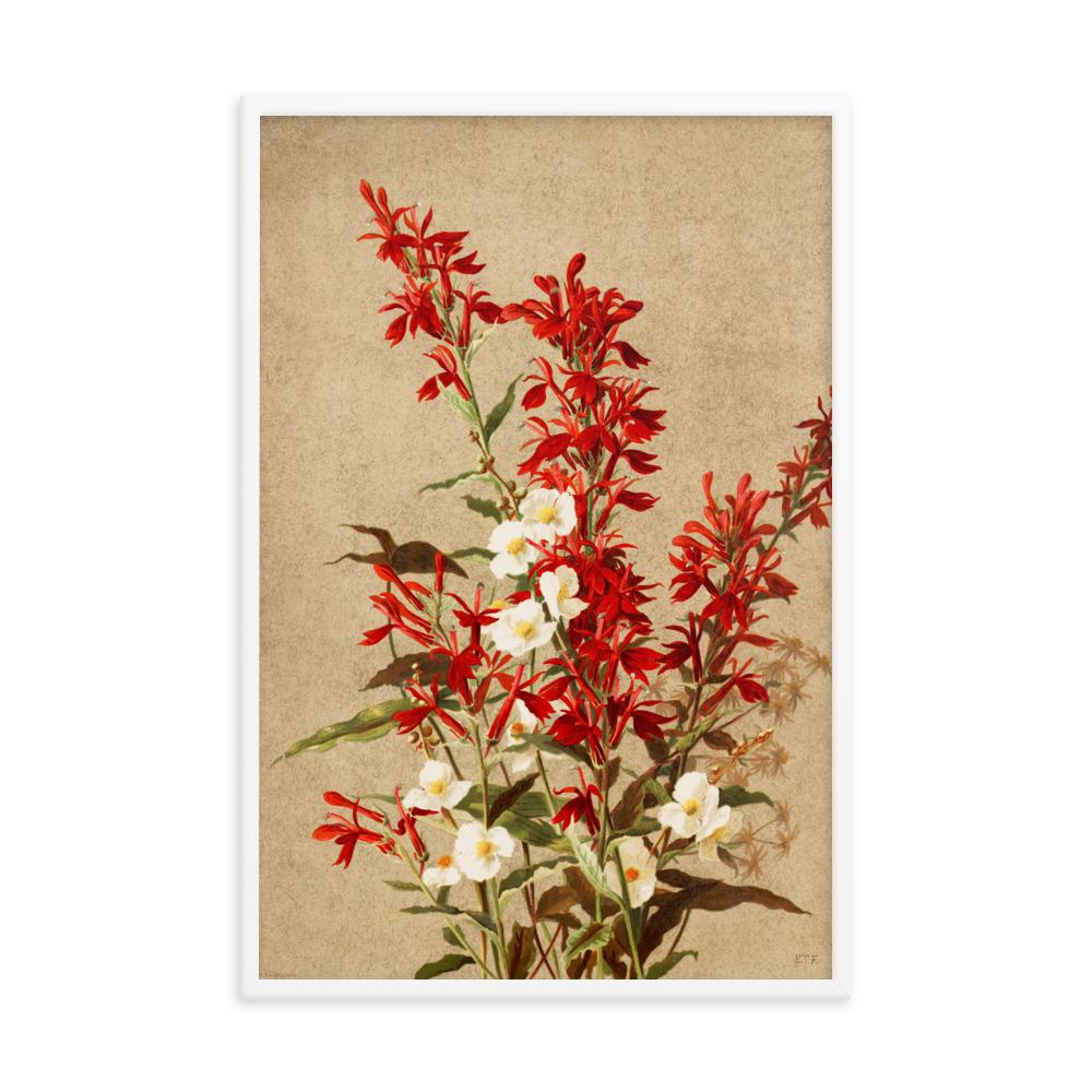 Kardinalsblumen - Poster artlia