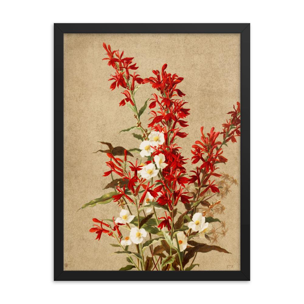Kardinalsblumen - Poster im Rahmen schwarz / 30x41 cm artlia