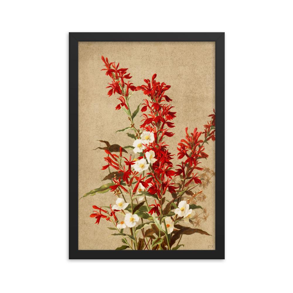 Kardinalsblumen - Poster im Rahmen schwarz / 30x45 cm artlia