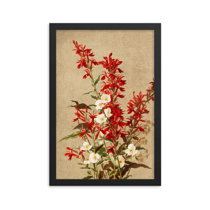 Kardinalsblumen - Poster im Rahmen schwarz / 30x45 cm artlia