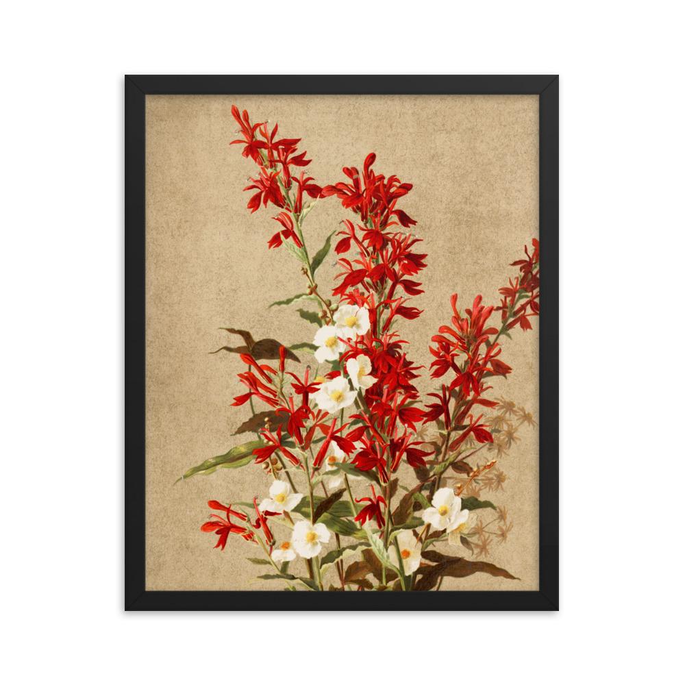 Kardinalsblumen - Poster im Rahmen schwarz / 41x51 cm artlia
