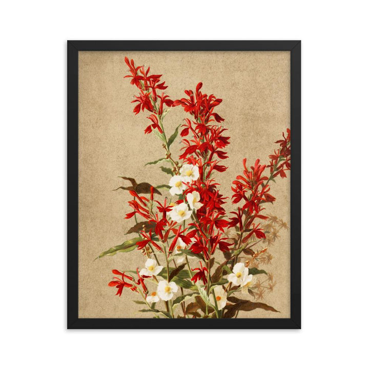 Kardinalsblumen - Poster im Rahmen schwarz / 41x51 cm artlia