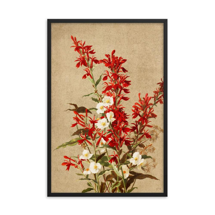 Kardinalsblumen - Poster im Rahmen schwarz / 61x91 cm artlia