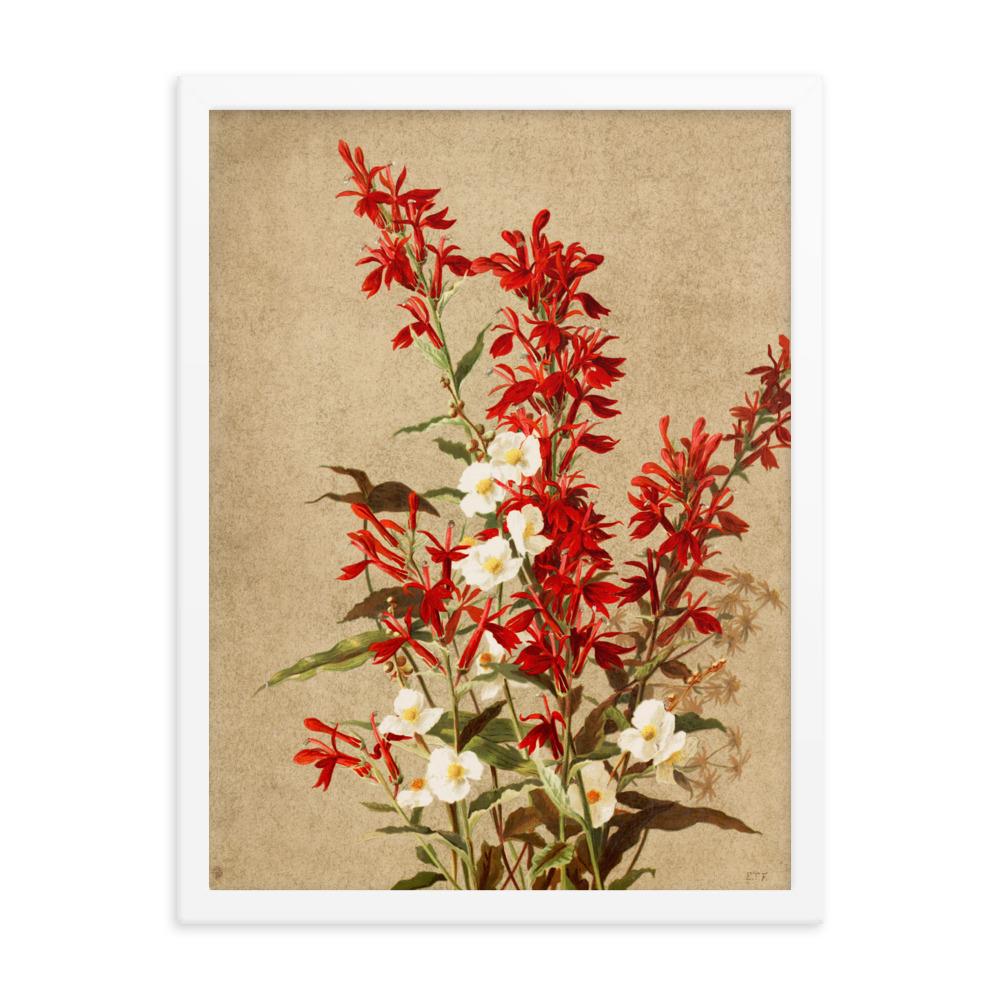 Kardinalsblumen - Poster im Rahmen weiß / 30x41 cm artlia
