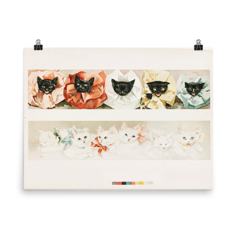 Katzen - Poster 20x25 cm artlia