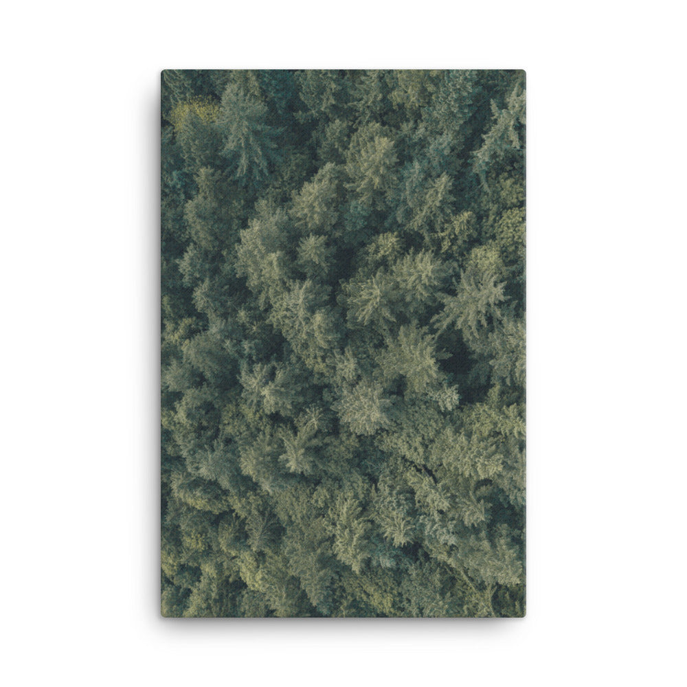 Kiefernwald Pine Forest - Leinwand 61x91 cm artlia