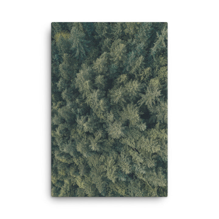 Kiefernwald Pine Forest - Leinwand 61x91 cm artlia