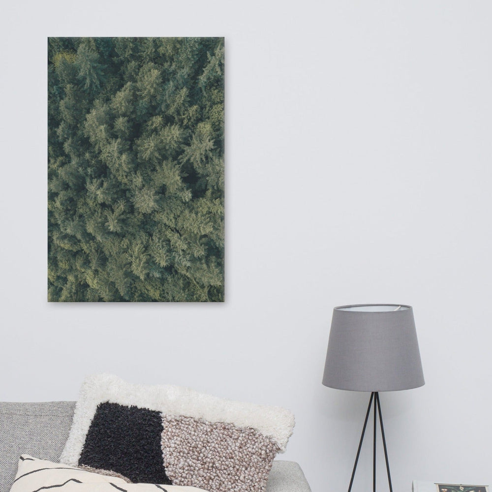 Kiefernwald Pine Forest - Leinwand artlia