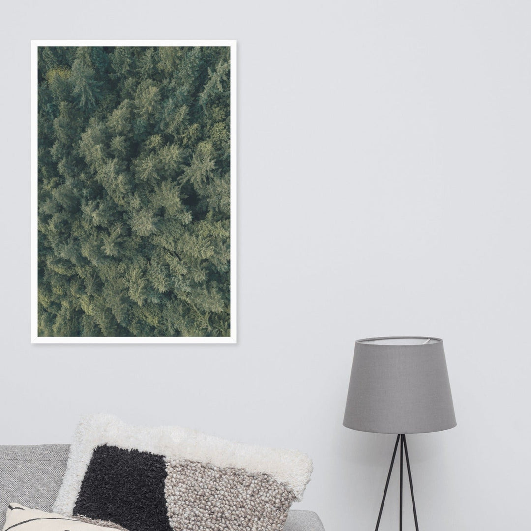 Kiefernwald Pine Forest - Poster im Rahmen artlia