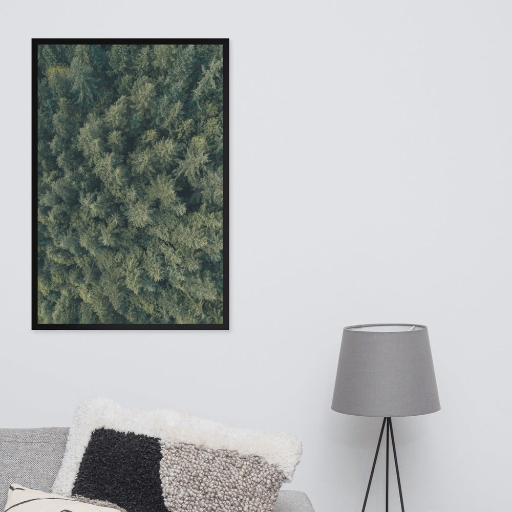 Kiefernwald Pine Forest - Poster im Rahmen artlia