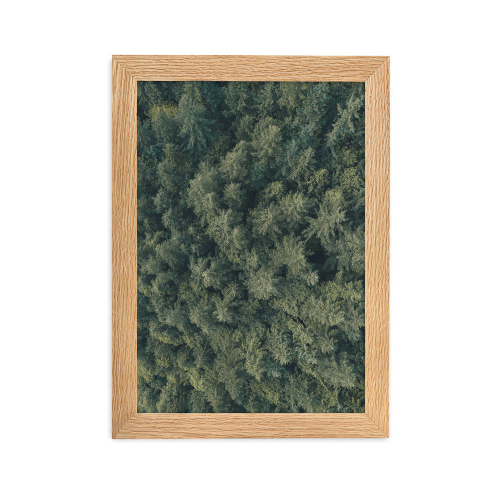 Kiefernwald Pine Forest - Poster im Rahmen Oak / 21×30 cm artlia