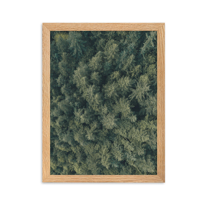 Kiefernwald Pine Forest - Poster im Rahmen Oak / 30×40 cm artlia
