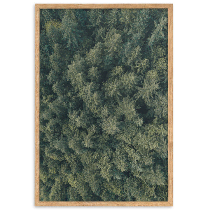 Kiefernwald Pine Forest - Poster im Rahmen Oak / 61×91 cm artlia