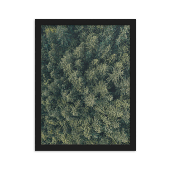 Kiefernwald Pine Forest - Poster im Rahmen Schwarz / 30×40 cm artlia