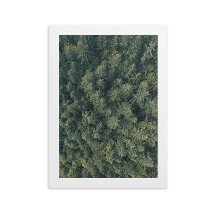 Kiefernwald Pine Forest - Poster im Rahmen Weiß / 21×30 cm artlia