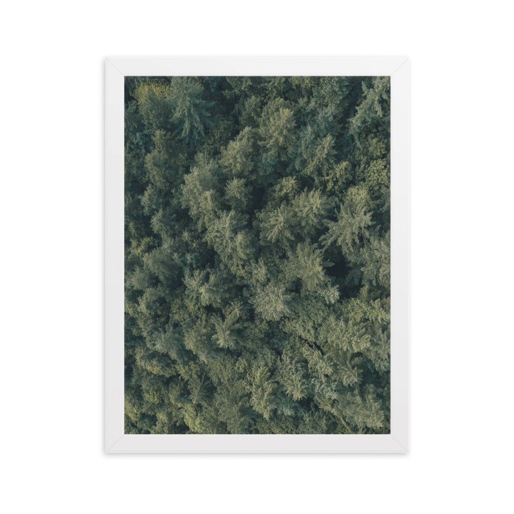 Kiefernwald Pine Forest - Poster im Rahmen Weiß / 30×40 cm artlia