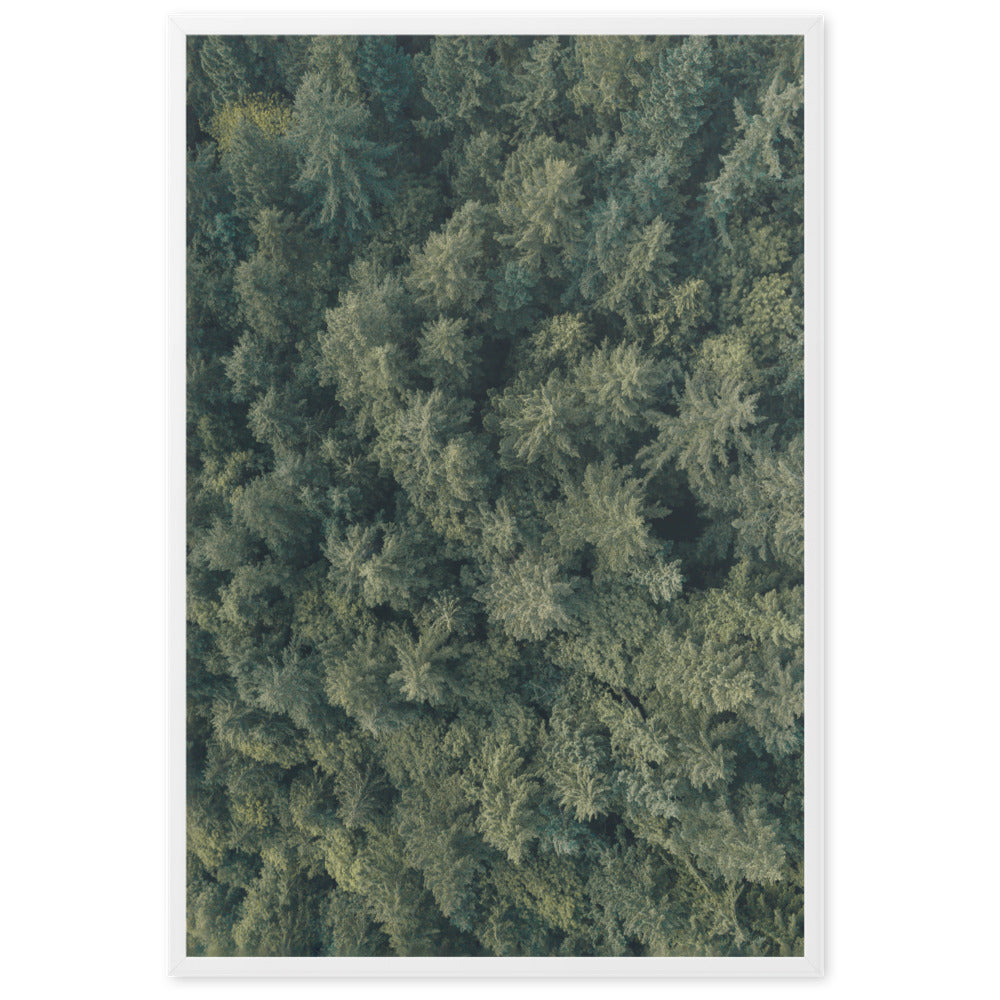 Kiefernwald Pine Forest - Poster im Rahmen Weiß / 61×91 cm artlia