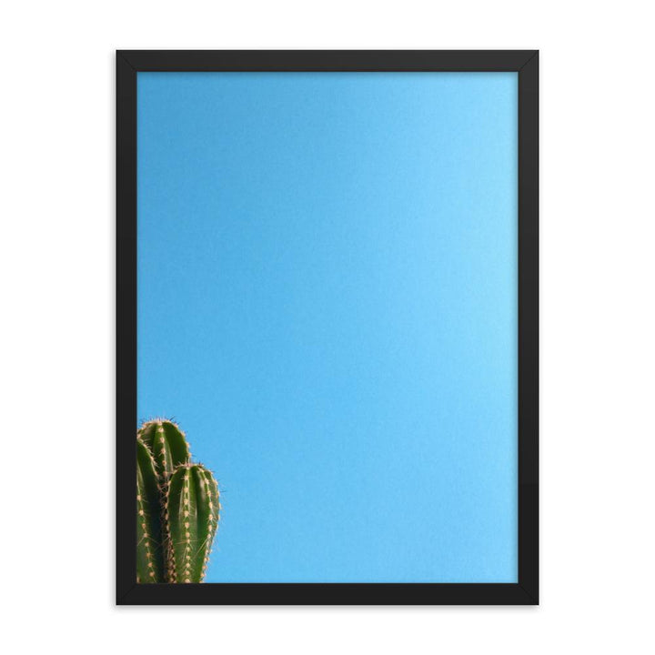 kleiner Kaktus - Poster im Rahmen schwarz / 30x41 cm artlia