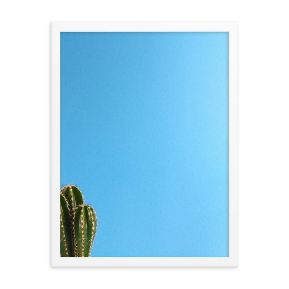 kleiner Kaktus - Poster im Rahmen weiß / 30x41 cm artlia