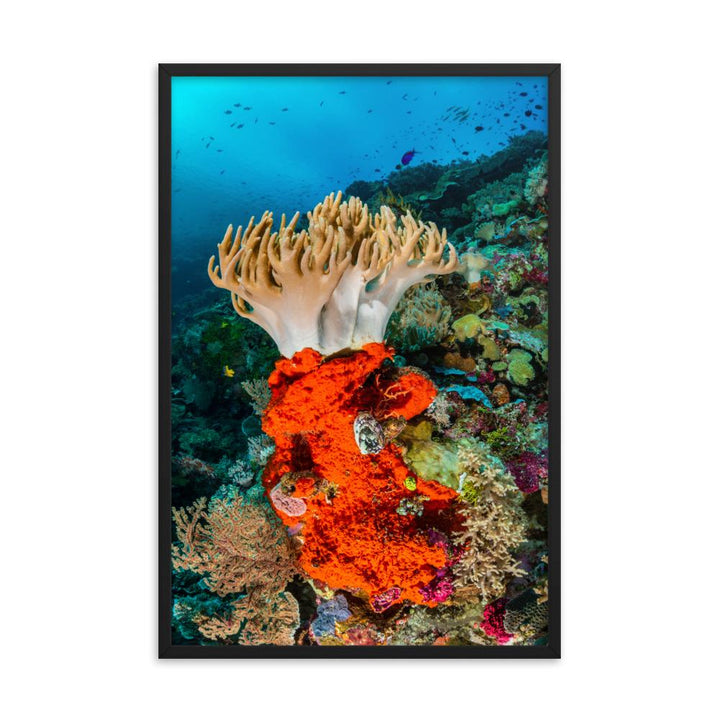 Lederkoralle - Poster im Rahmen schwarz / 61x91 cm artlia
