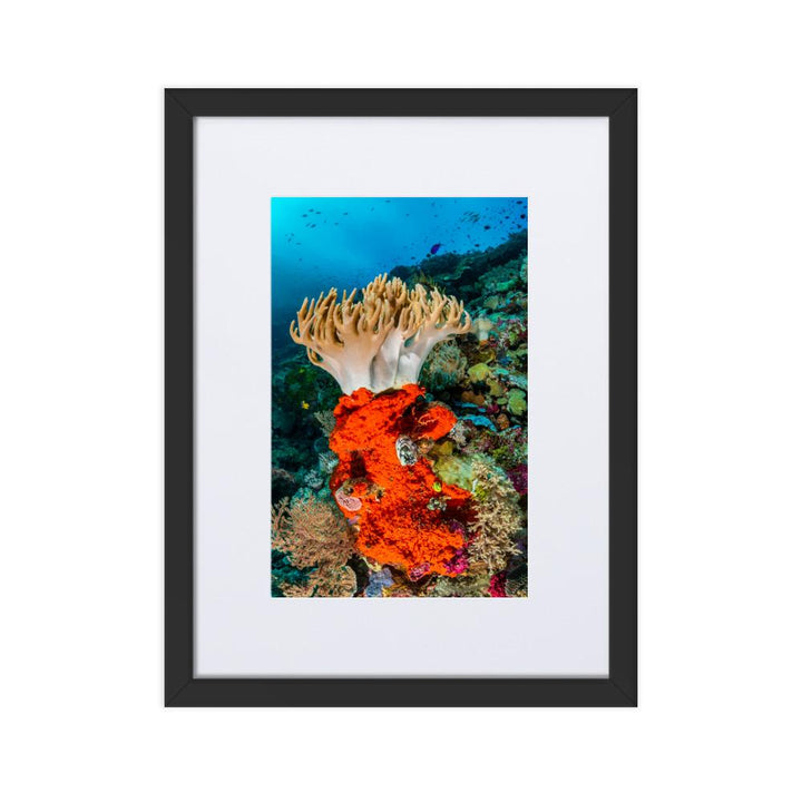 Lederkoralle - Poster im Rahmen mit Passepartout artlia