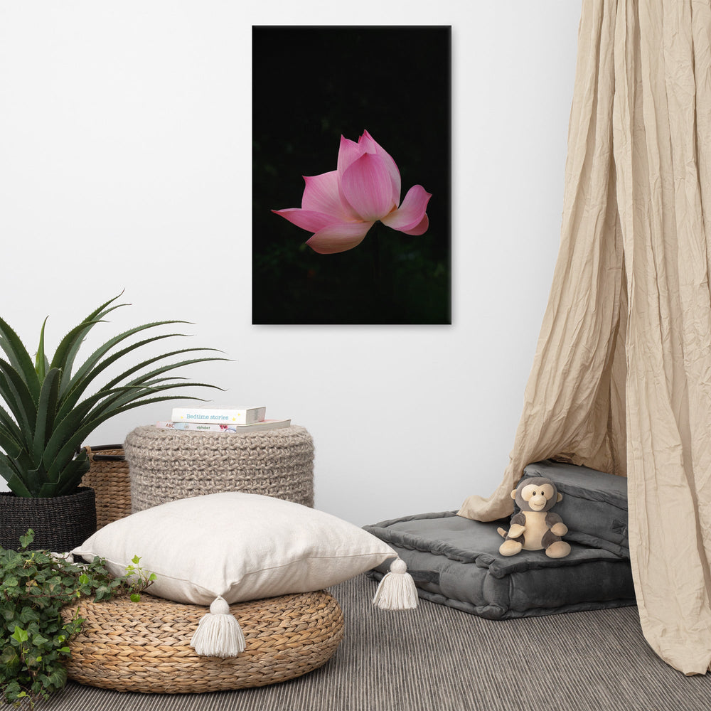 Leinwand - Lotus Seerose Kuratoren von artlia artlia