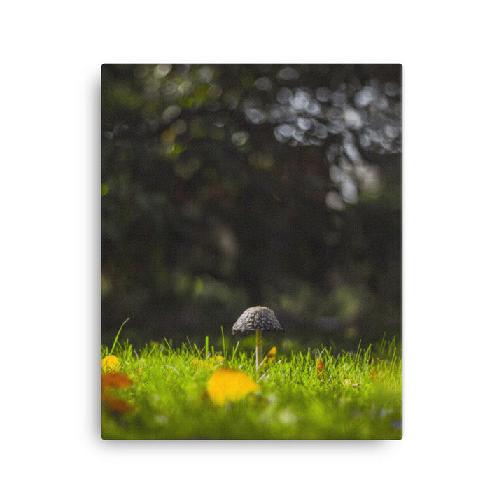 Leinwand - Pilz 41x51 cm artlia