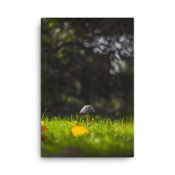 Leinwand - Pilz 61x91 cm artlia