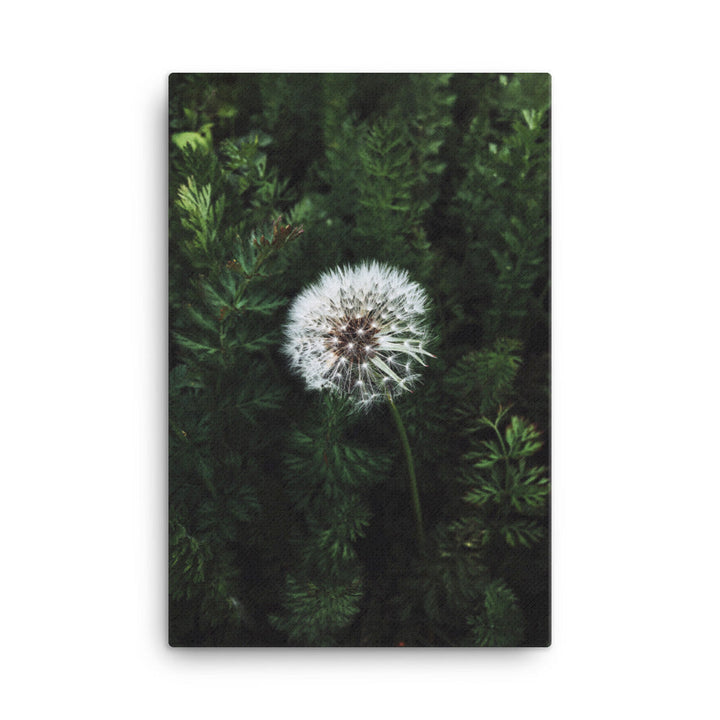 Leinwand - Pusteblume 61x91 cm artlia