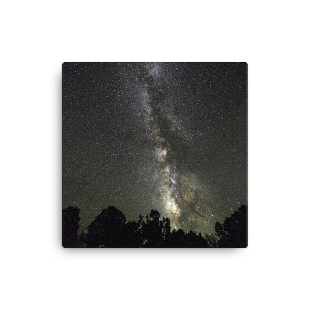 Leinwand - Sternenhimmel Starry sky 41x41 cm artlia