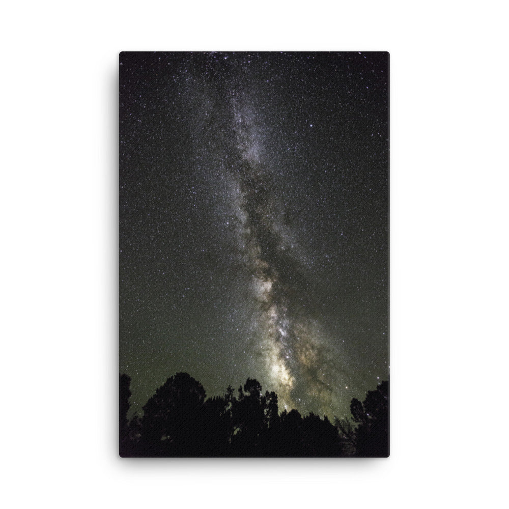 Leinwand - Sternenhimmel Starry sky 61x91 cm artlia