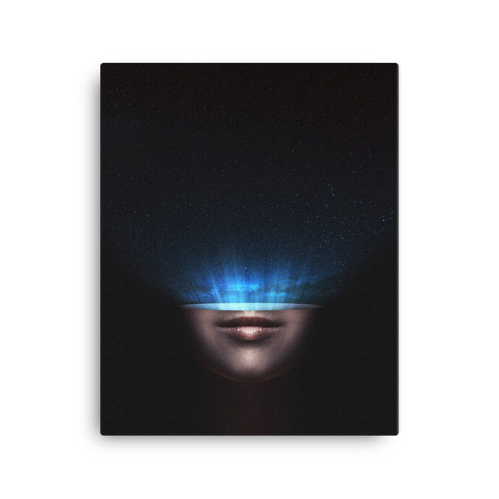 Leinwand - Universum im Kopf 41x51 cm artlia