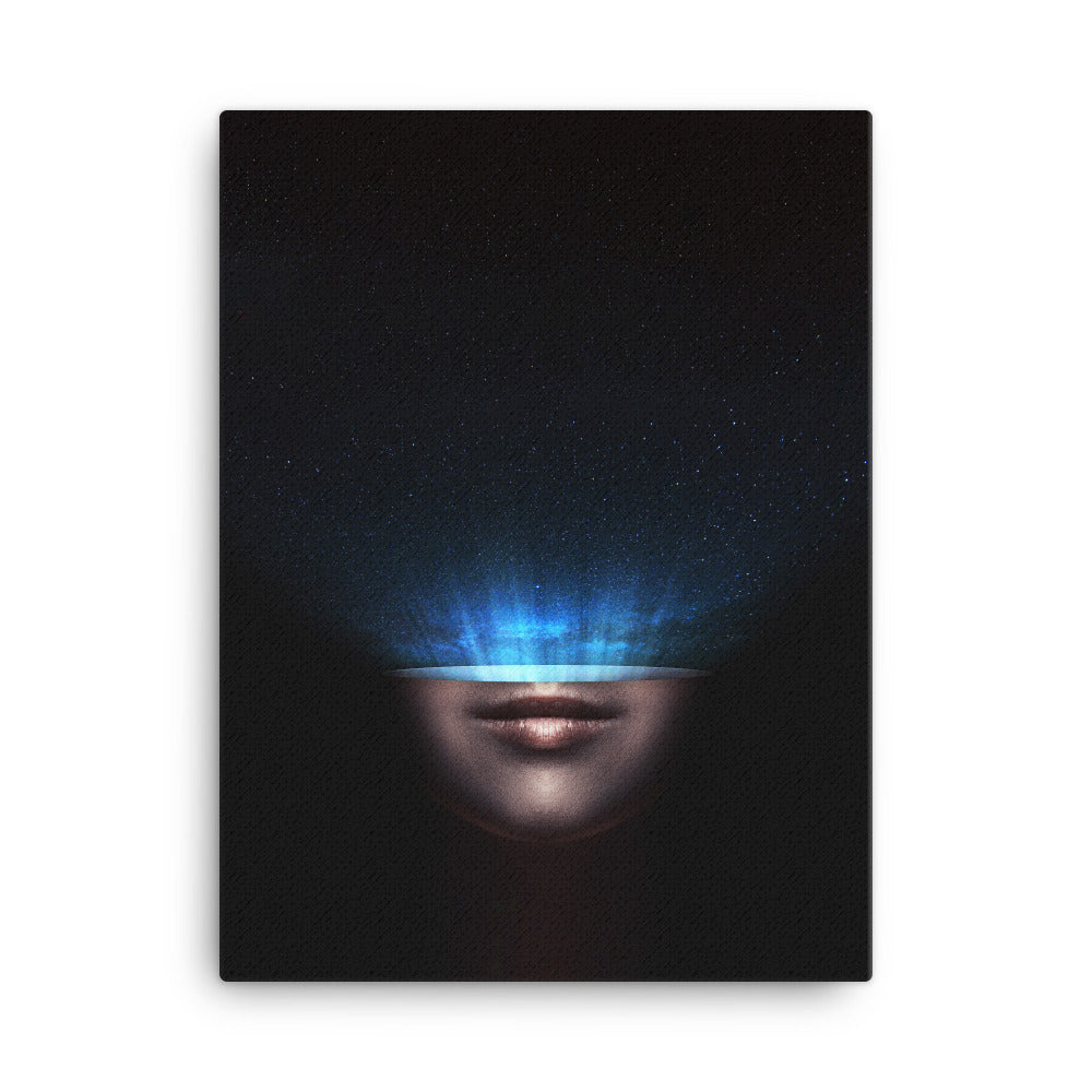 Leinwand - Universum im Kopf 46x61 cm artlia
