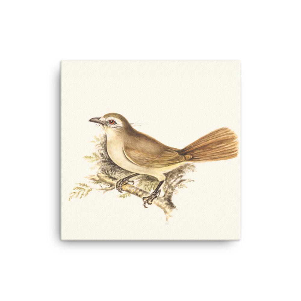 Lerche - Leinwand 30x30 cm artlia
