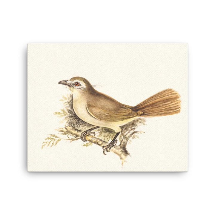 Lerche - Leinwand 41x51 cm artlia